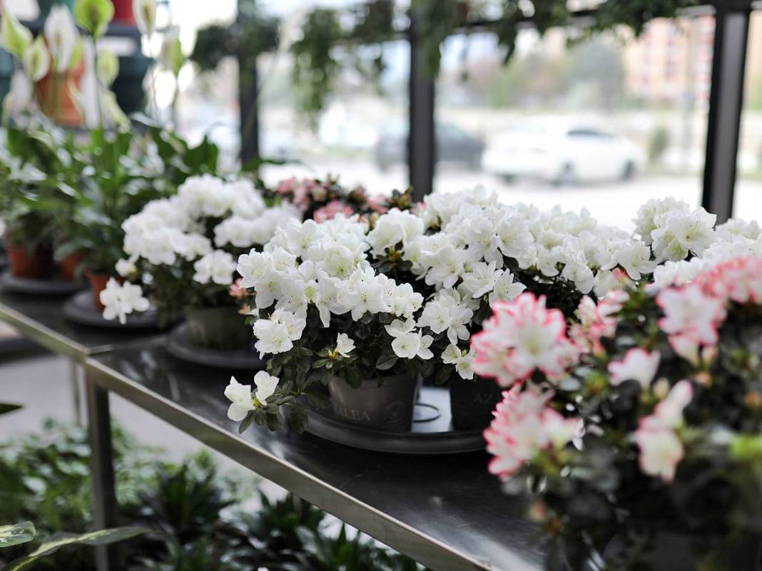 Etimesgut'ta çiçekler yeniden açıyor! Çiçek Hastanesi tam not aldı 4